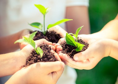 Children holding young plant in hands against spring green background. Ecology concept. Earth day